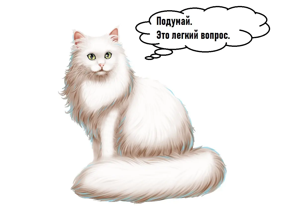 кот Луня