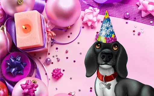 День Рождения