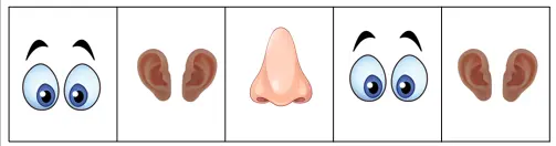 nose
