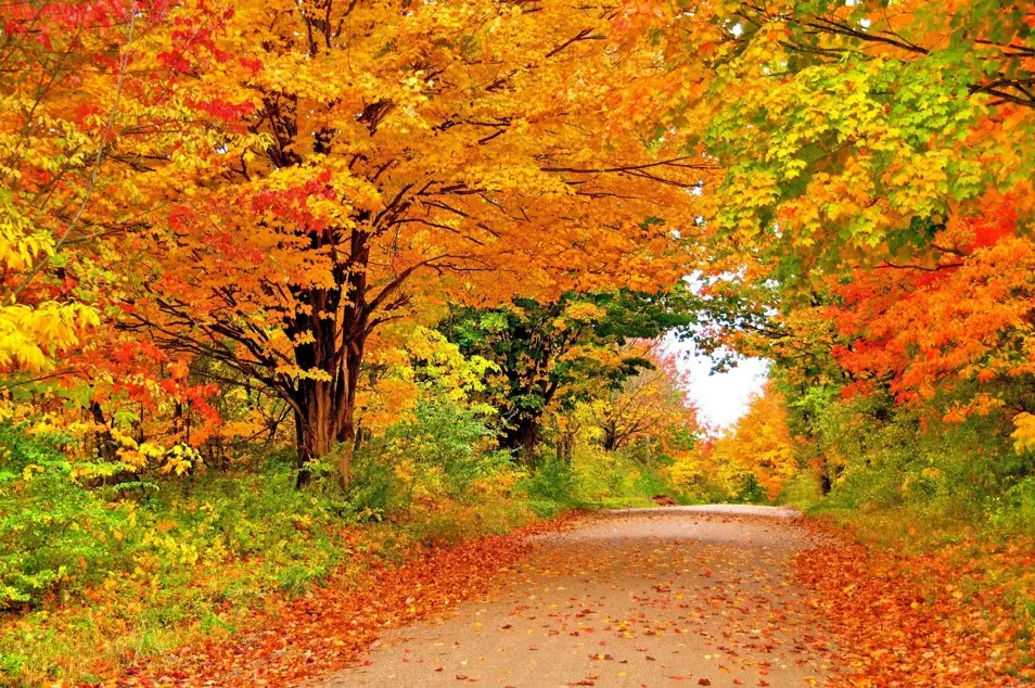 autumn