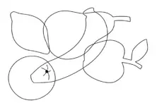 fruit