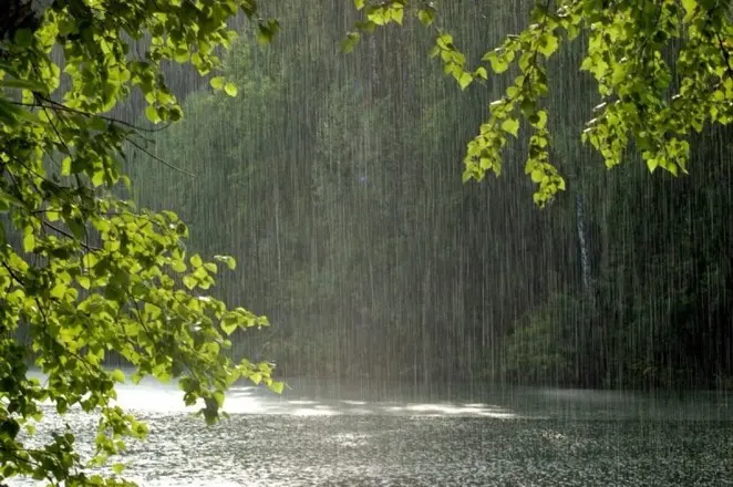 rain